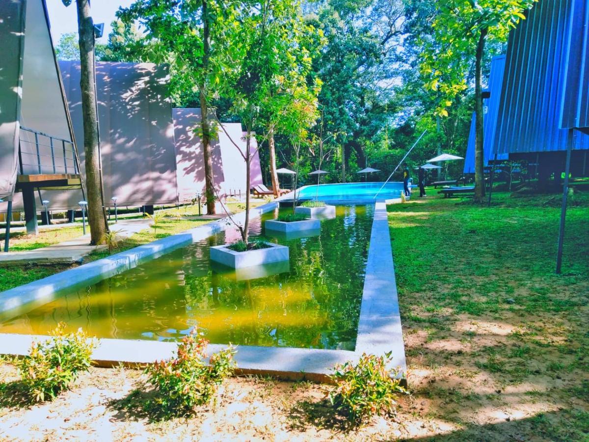 Kottawatta River Bank Resort Udawalawe Exteriör bild