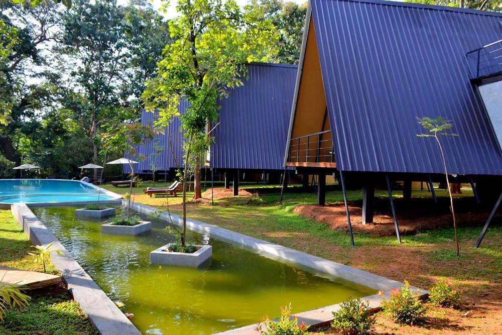 Kottawatta River Bank Resort Udawalawe Exteriör bild